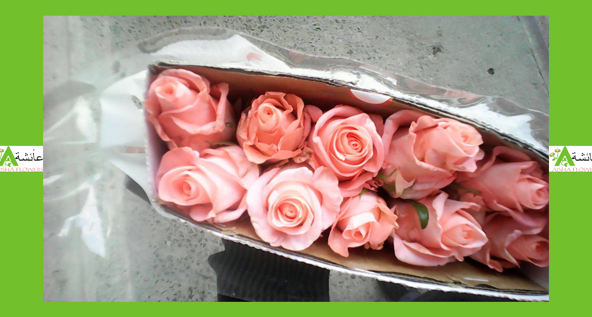 Beautiful Roses to Middle East - Aisha Flowers