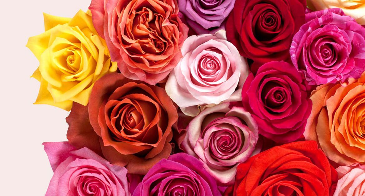 The 6 Most Popular Ways Florists Win More Business With Local Marketing