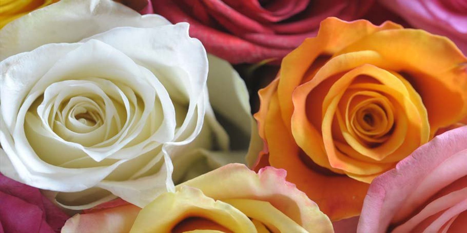 5 tips a florist should consider when Marketing during Ramadan
