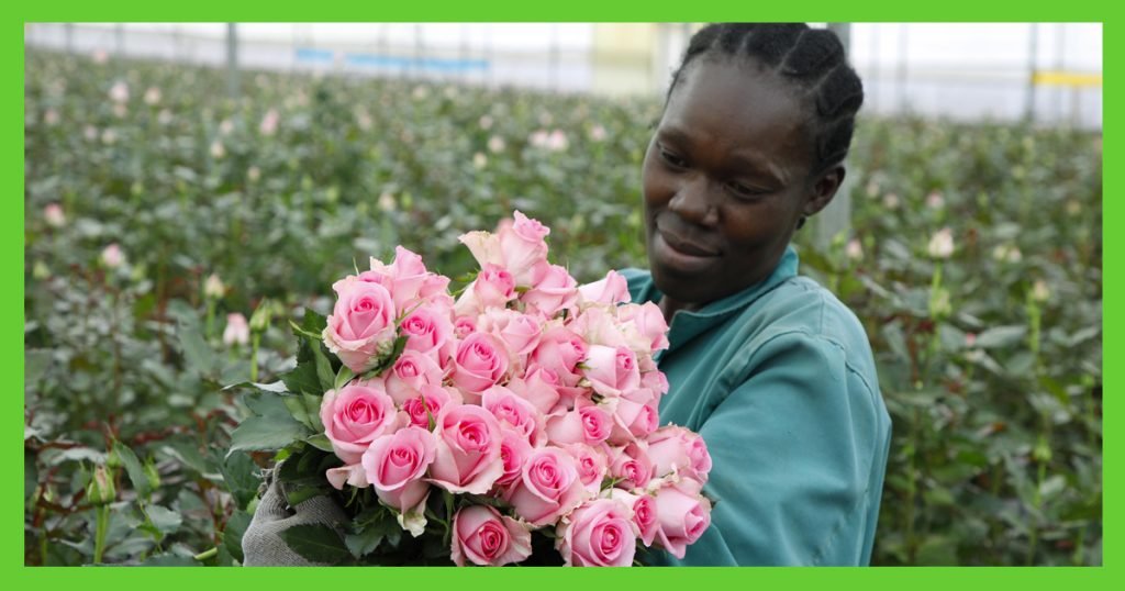 Mother’s Day flowers from Kenya