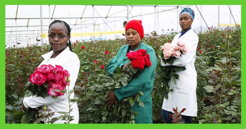 Mother’s Day flowers from Kenya